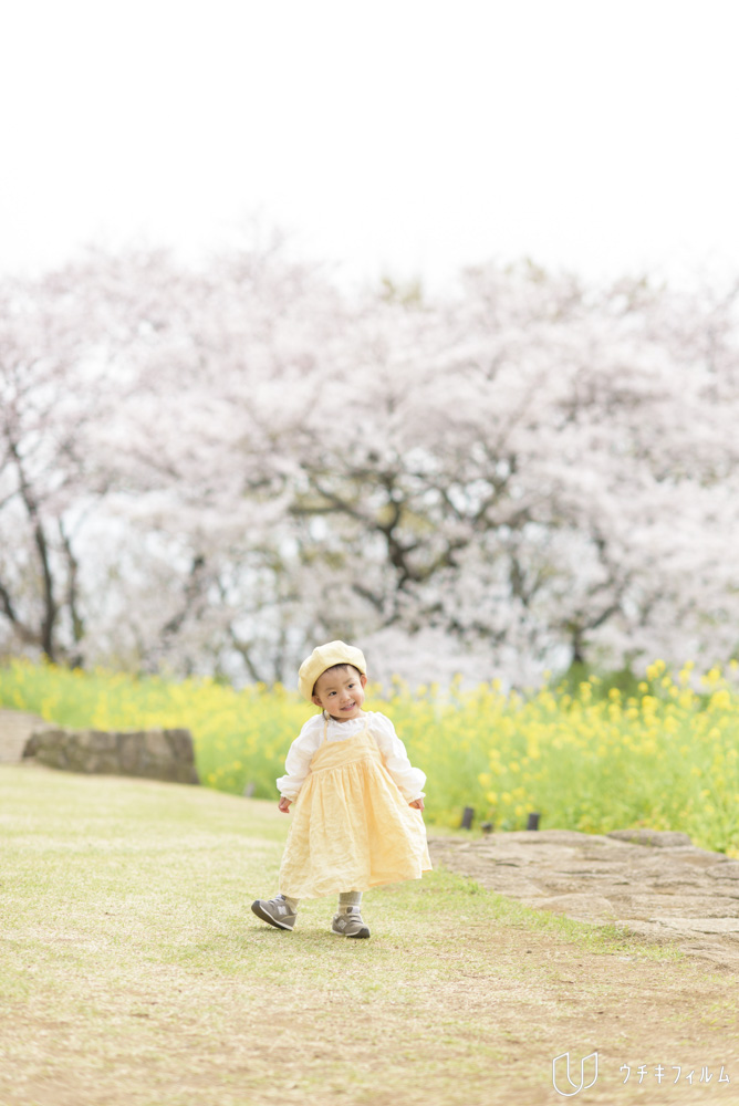 吾妻山公園での2歳の誕生日記念