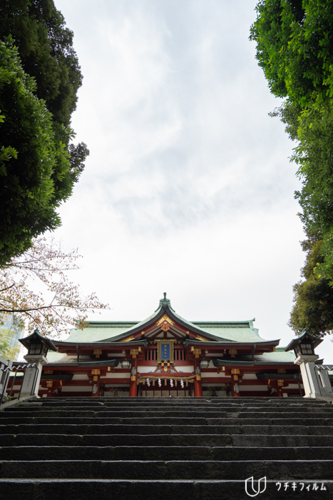 日枝神社での七五三出張撮影