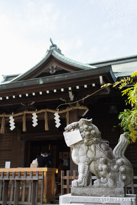 お三の宮日枝神社での七五三出張撮影