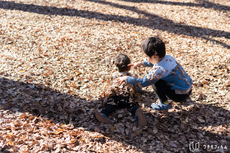 代々木公園での家族写真撮影