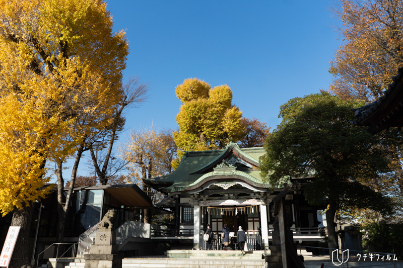 亀有香取神社での七五三出張撮影